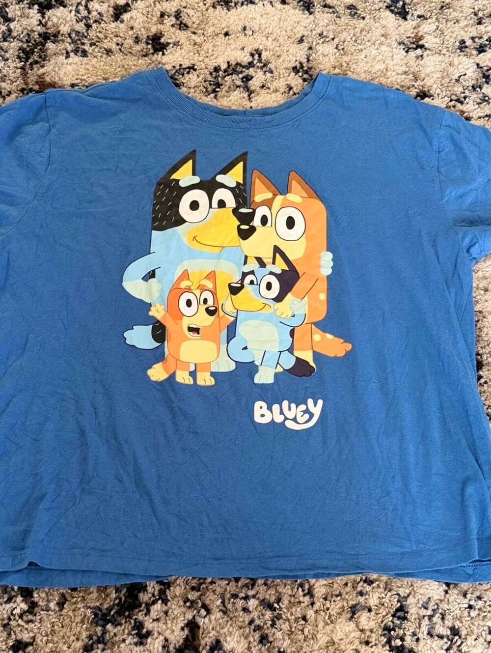 Bluey Family Blue Graphic Tee XL Mad Engine